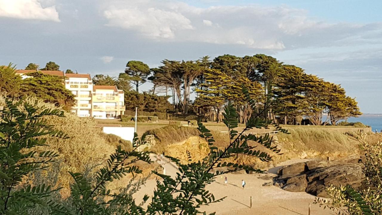 Apartment En Rdc Avec Terrasse Face A La
